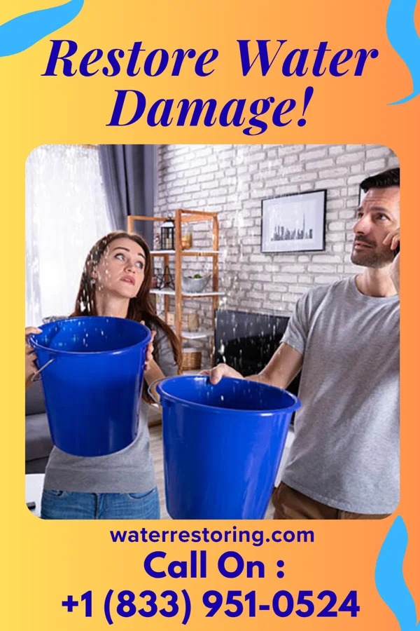 water restoration Total Mitigation Services Ingram