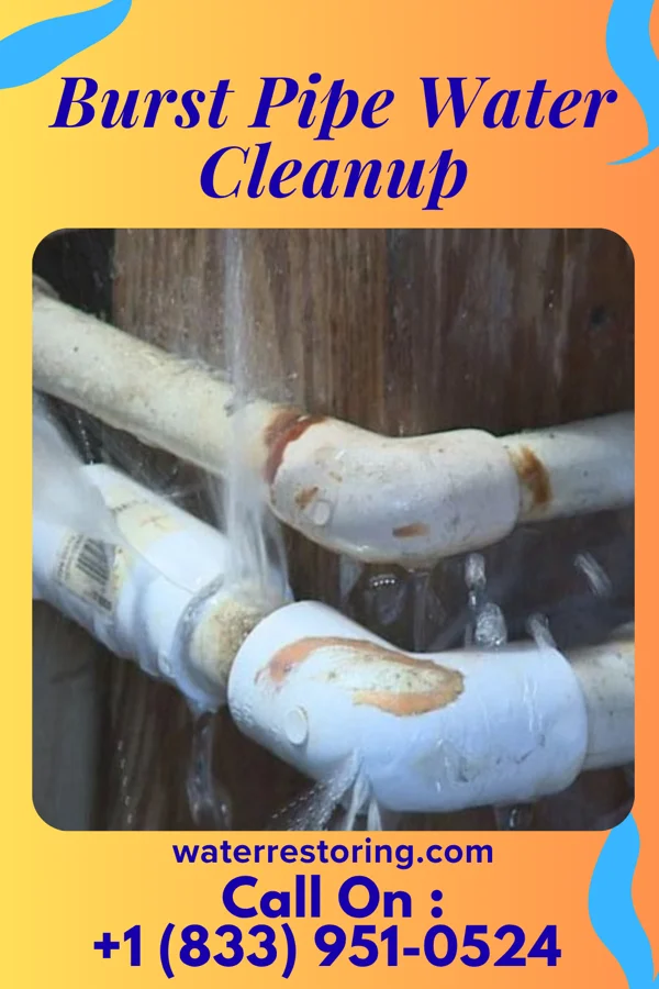 Burst Pipe Water Cleanup in Ingram, PA