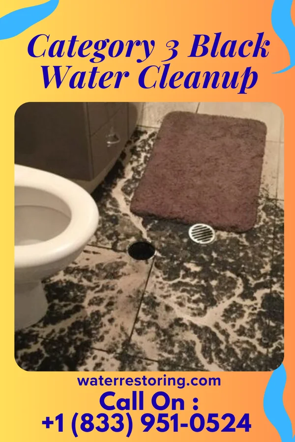 Category 3 Black Water Cleanup in Ingram, PA