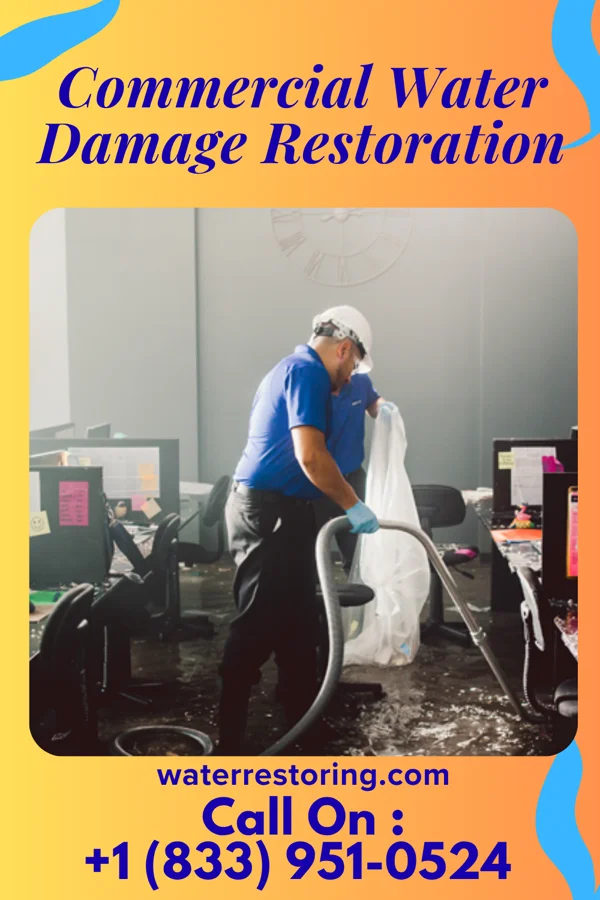 Commercial Water Damage Restoration in Ingram, PA