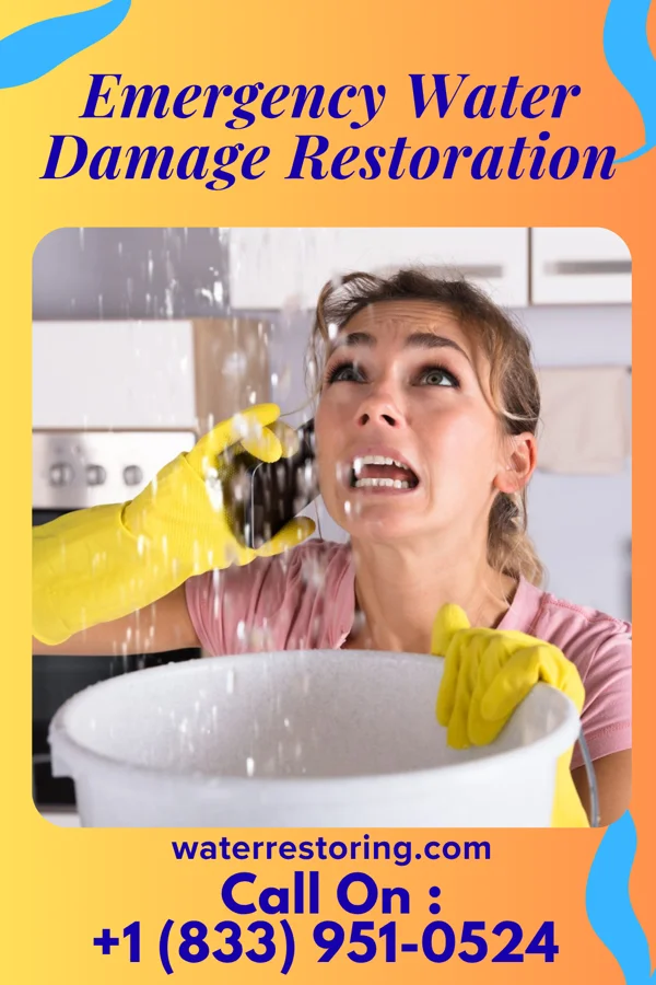 Emergency Water Damage Restoration in Ingram, PA