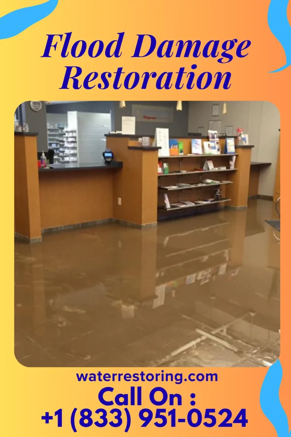 Flood Damage Restoration in Ingram, PA