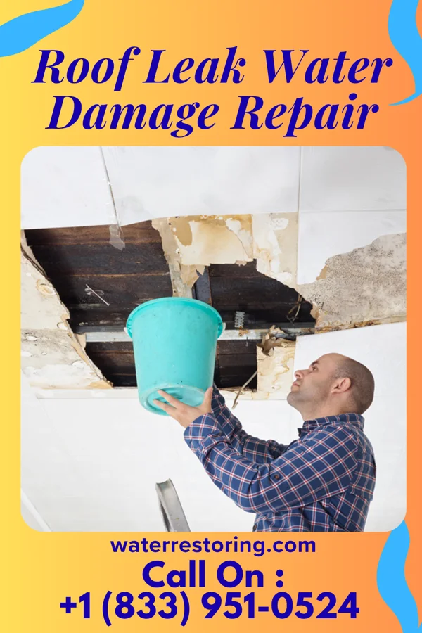 Roof Leak Water Damage Repair in Ingram, PA